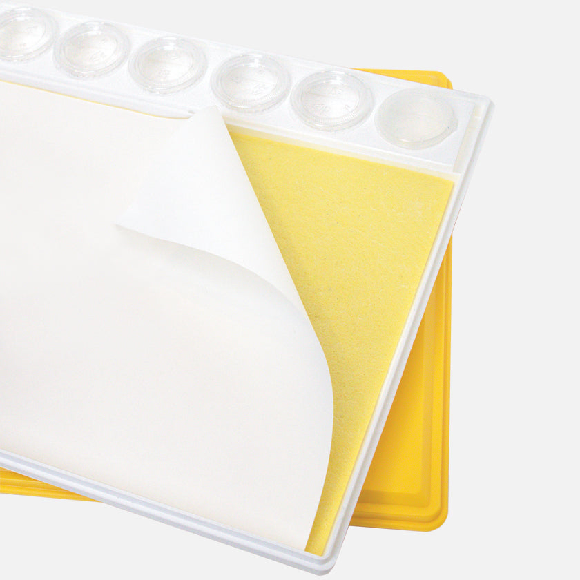 Masterson Sta Wet Painter's Pal artist palette seal